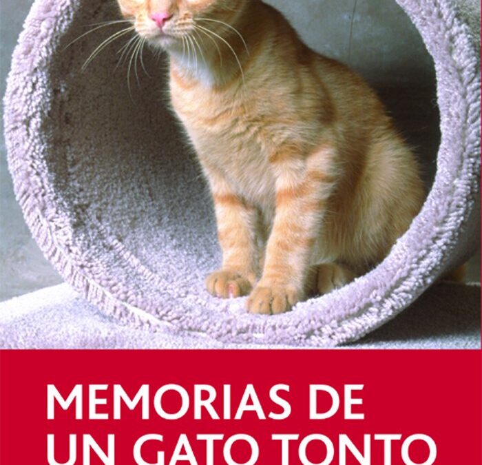 71dSxzfsA7L ”Memorias de un gato tonto” de Luis Blanco Vila