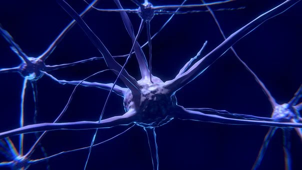 nerve cells 2213009 340 “Neuroaumentación”, La tecnología al servicio de las capacidades del cerebro.